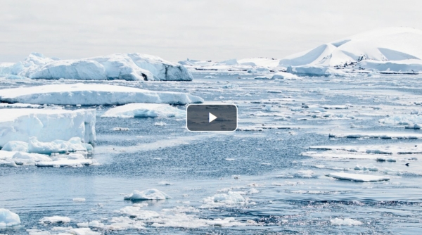 Петербургские ученые построят в Антарктиде новый зимовочный комплекс «Зенит»