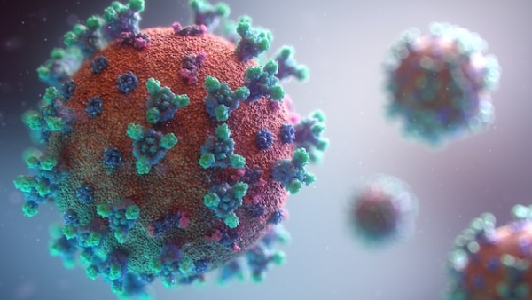 Вирусолог рассказал о новом штамме коронавируса