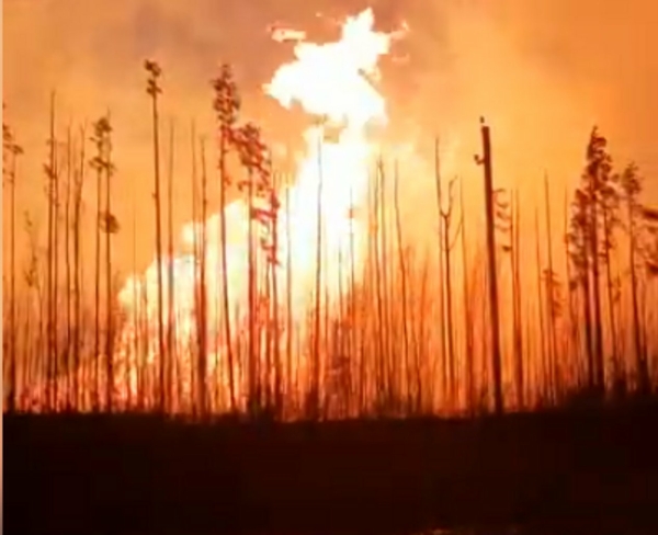 Сразу 17 пожаров возникло на Урале в среду 10 мая