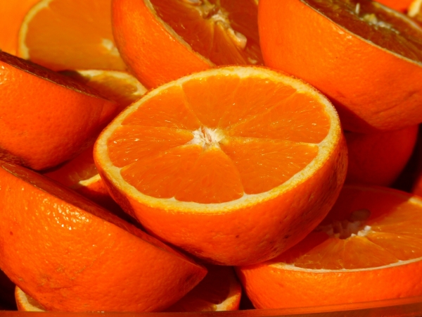 Сотрудники Россельхознадзора предотвратили ввоз 25,4 тонн зараженных апельсинов в Петербург