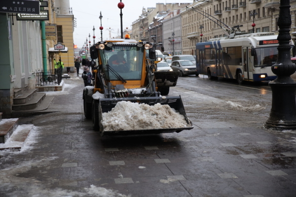 Леус: в Петербурге за сутки растаяло две трети снега