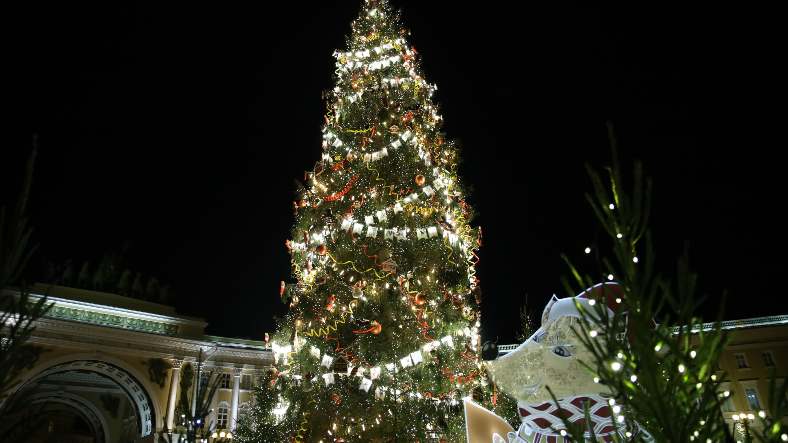 Главную новогоднюю елку Петербурга привезли на Дворцовую площадь