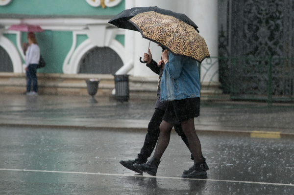 Петербуржцев предупредили о прохладной и дождливой погоде на 320-летие Петербурга