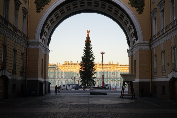 На Дворцовую площадь доставили главную новогоднюю елку