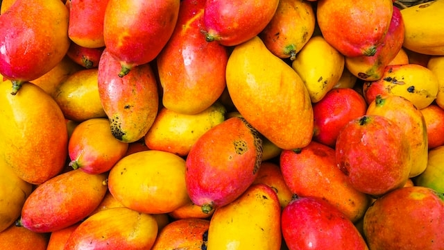 Петербуржцам дали рекомендации по выбору манго