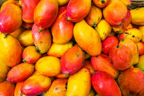 Петербуржцам дали рекомендации по выбору манго