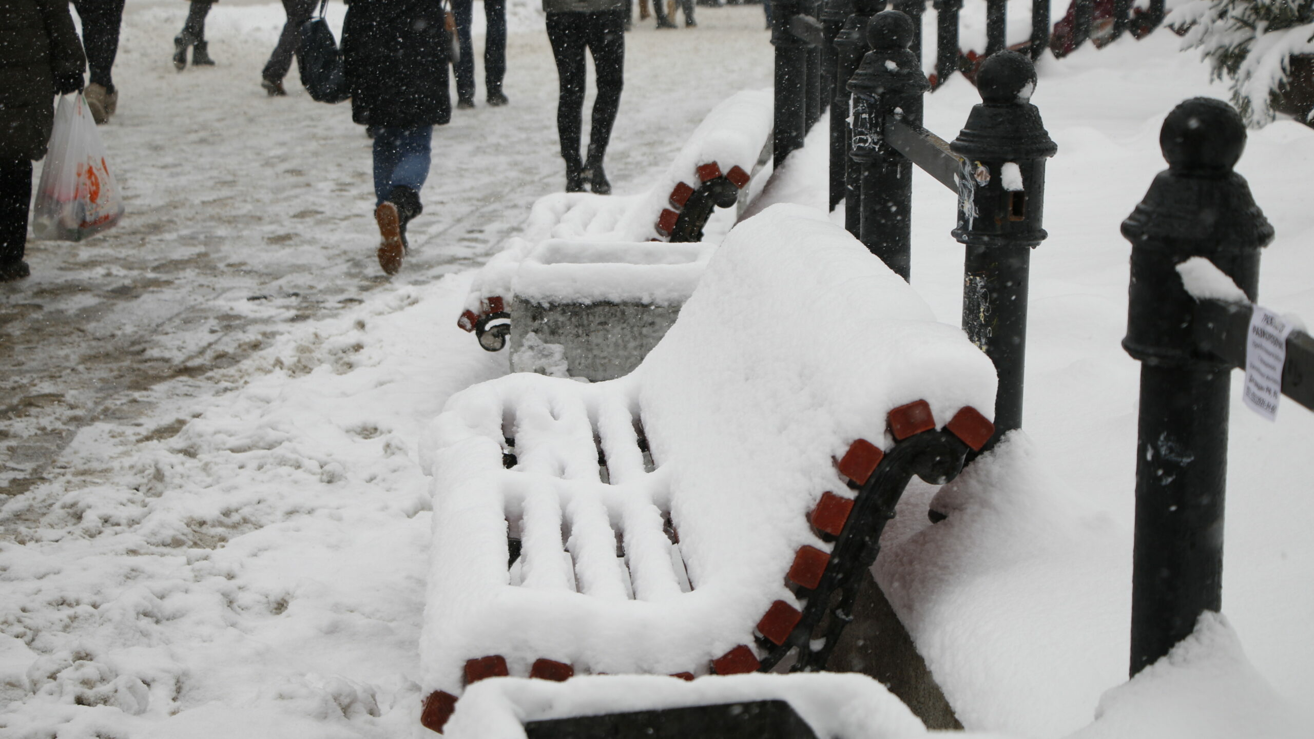 Синоптик Колесов: февраль уже «отсыпал» Петербургу 13 см снега