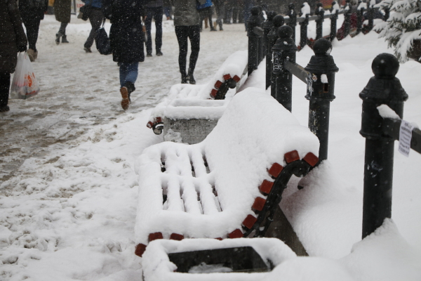 Синоптик Колесов: февраль уже «отсыпал» Петербургу 13 см снега