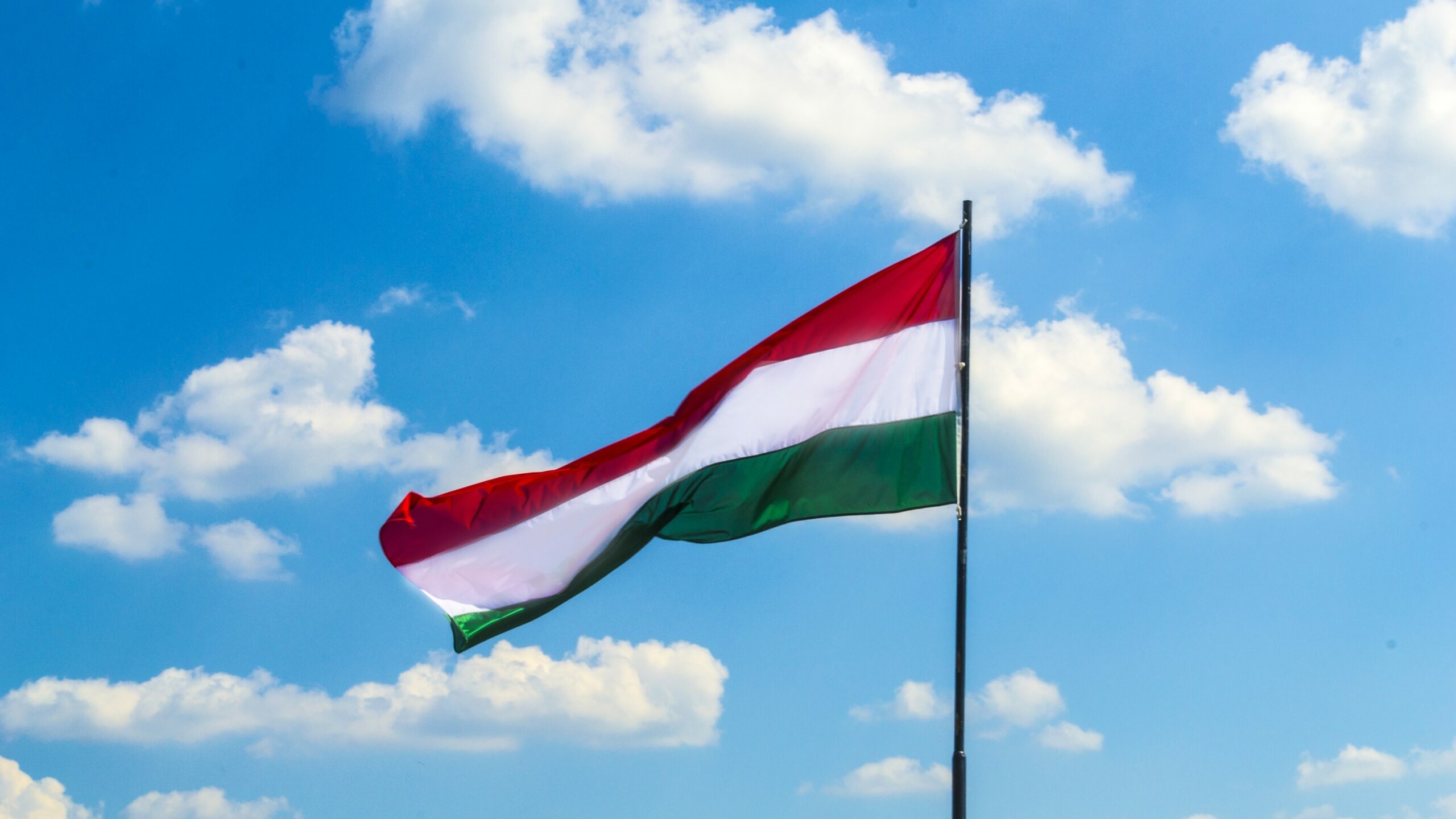 Нам не нужен такой союзник: Венгрия выступает против принятия Швеции в НАТО