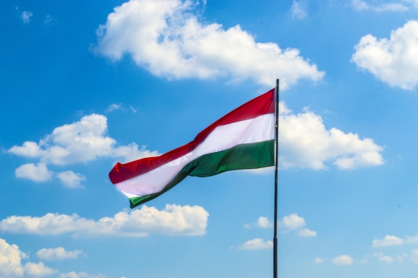 Нам не нужен такой союзник: Венгрия выступает против принятия Швеции в НАТО