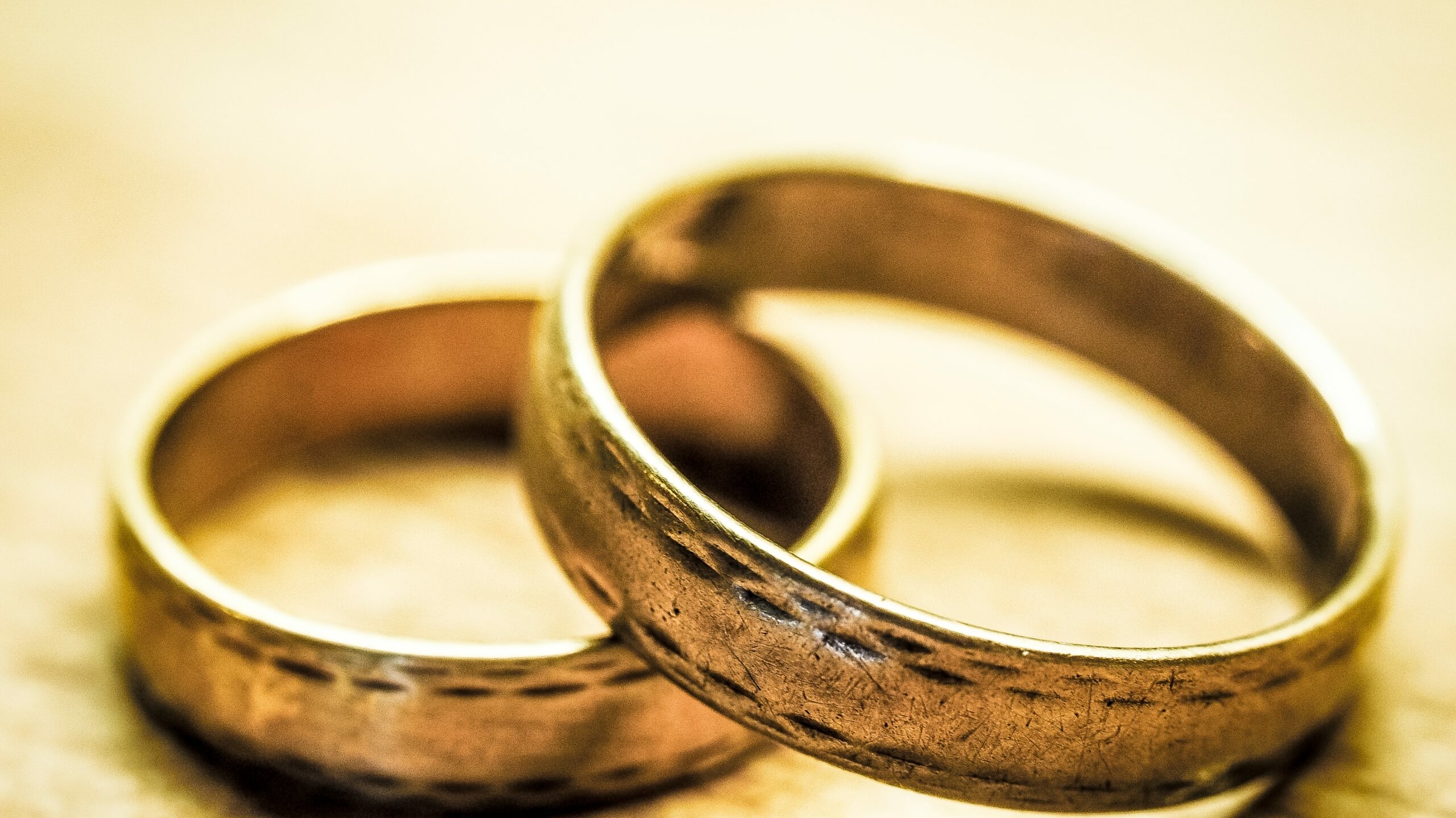 В Петербурге количество бракосочетаний за год выросло на 16%