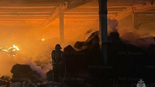 Спасатели эвакуировали 75 человек из-за пожара в гостинице в Петергофе 