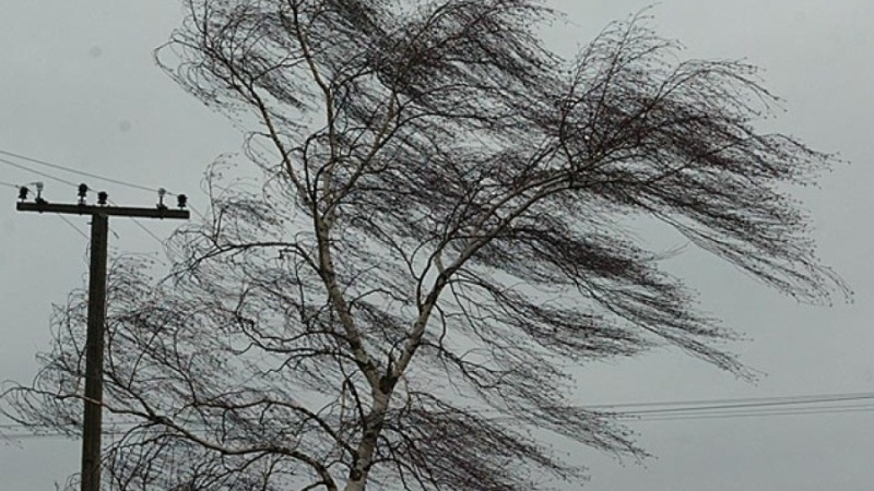 Петербуржцев предупредили об усилении ветра 18 января
