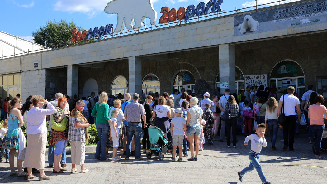 Ленинградский зоопарк вновь дал возможность приобрести бумажные билеты