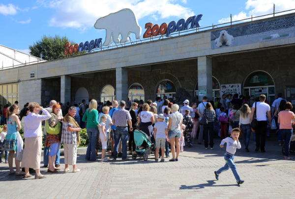Ленинградский зоопарк вновь дал возможность приобрести бумажные билеты