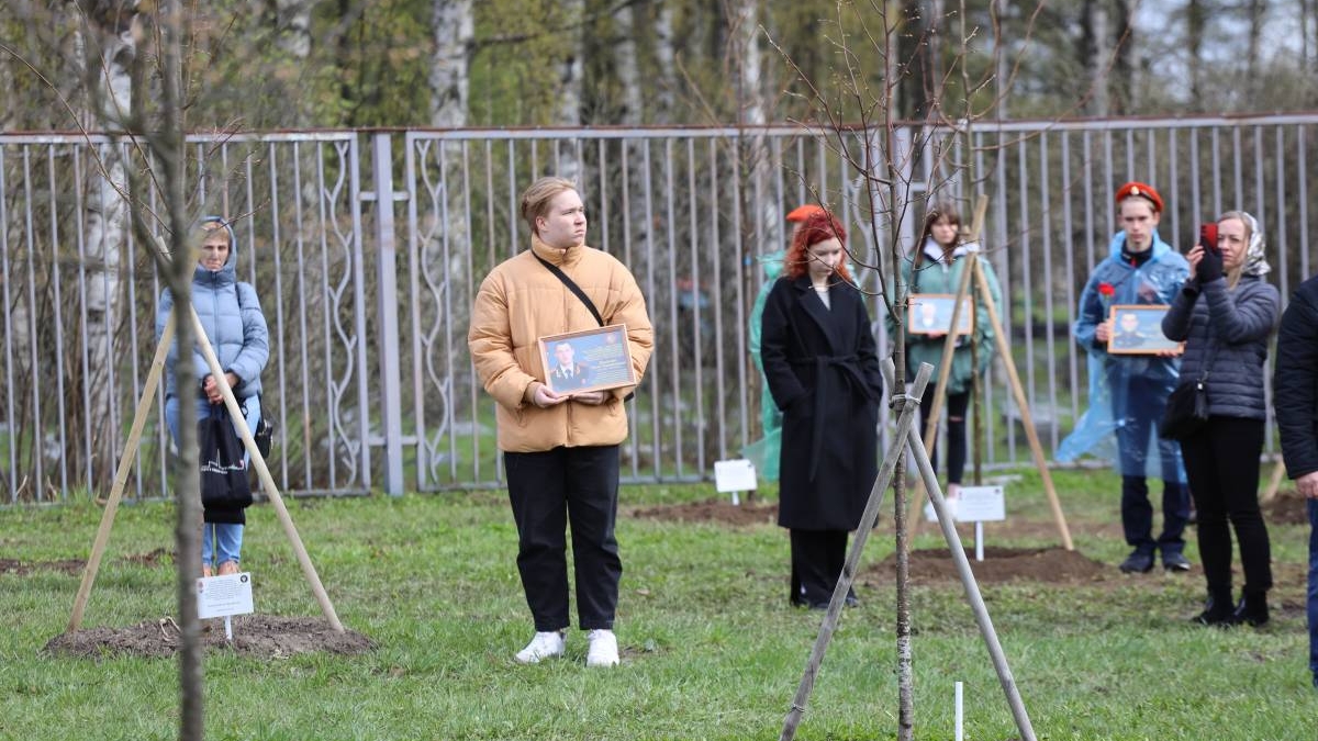 В память о защитниках Донбасса в Петербурге посадили 30 именных лип