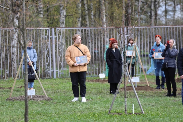 В память о защитниках Донбасса в Петербурге посадили 30 именных лип