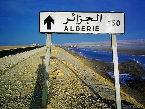 Представители Алжира посетят ПМЭФ в 2023 году