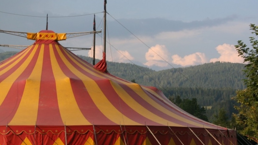 В Ленобласти из-за обрушения трибун в цирке-шапито пострадали семь зрителей