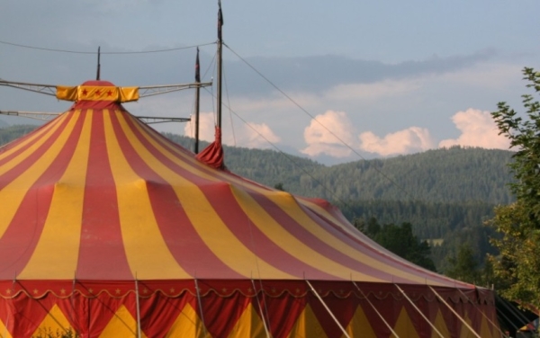 В Ленобласти из-за обрушения трибун в цирке-шапито пострадали семь зрителей