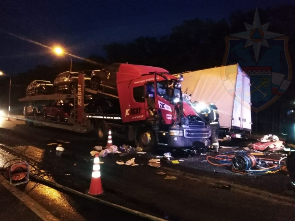 В Ленобласти водитель Газели погиб в столкновении с грузовиком