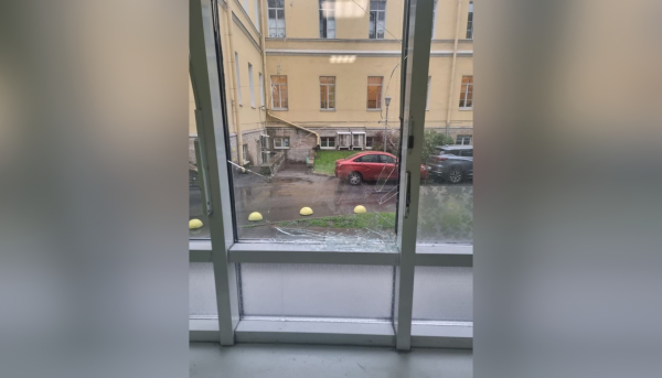 В Петербурге выпивший дебошир отплатил врачам за помощь разбитым окном