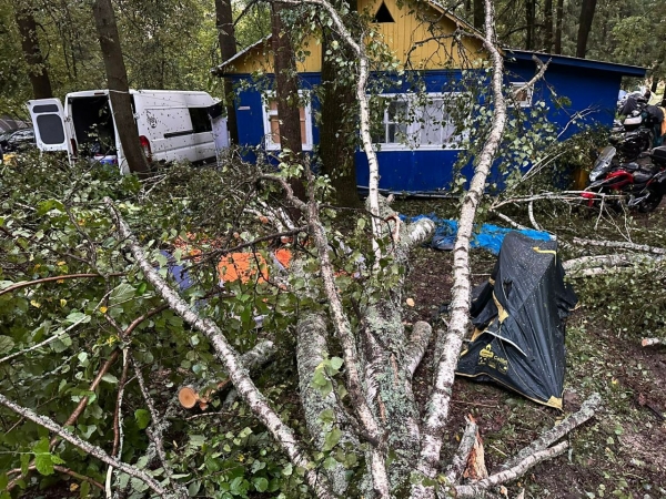 Упало дерево на палатку: мужчина и 6-летняя девочка погибли на базе отдыха в Калужской области