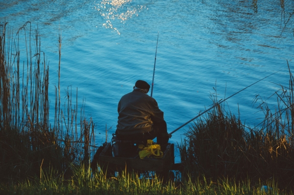В камышах Лембовского озера рыбаку в озере «клюнуло» на труп