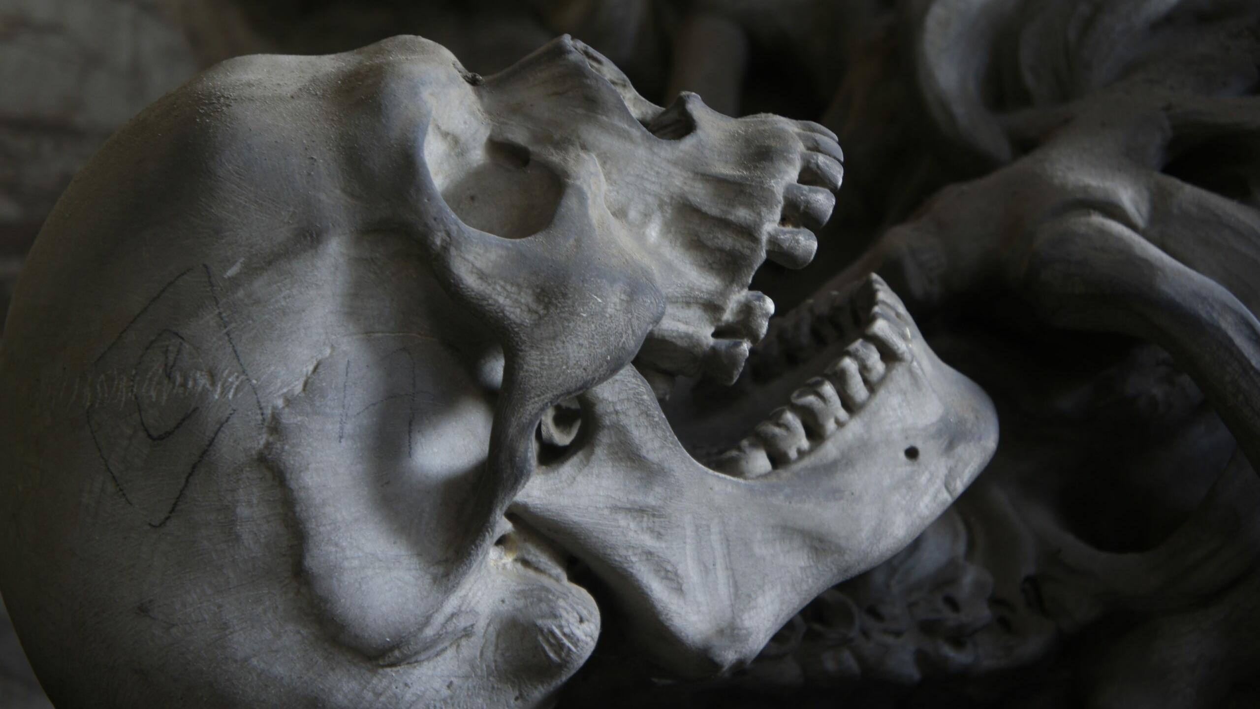 Косточка, грибочек, косточка: под Петербургом дважды за сутки нашли части человеческого скелета