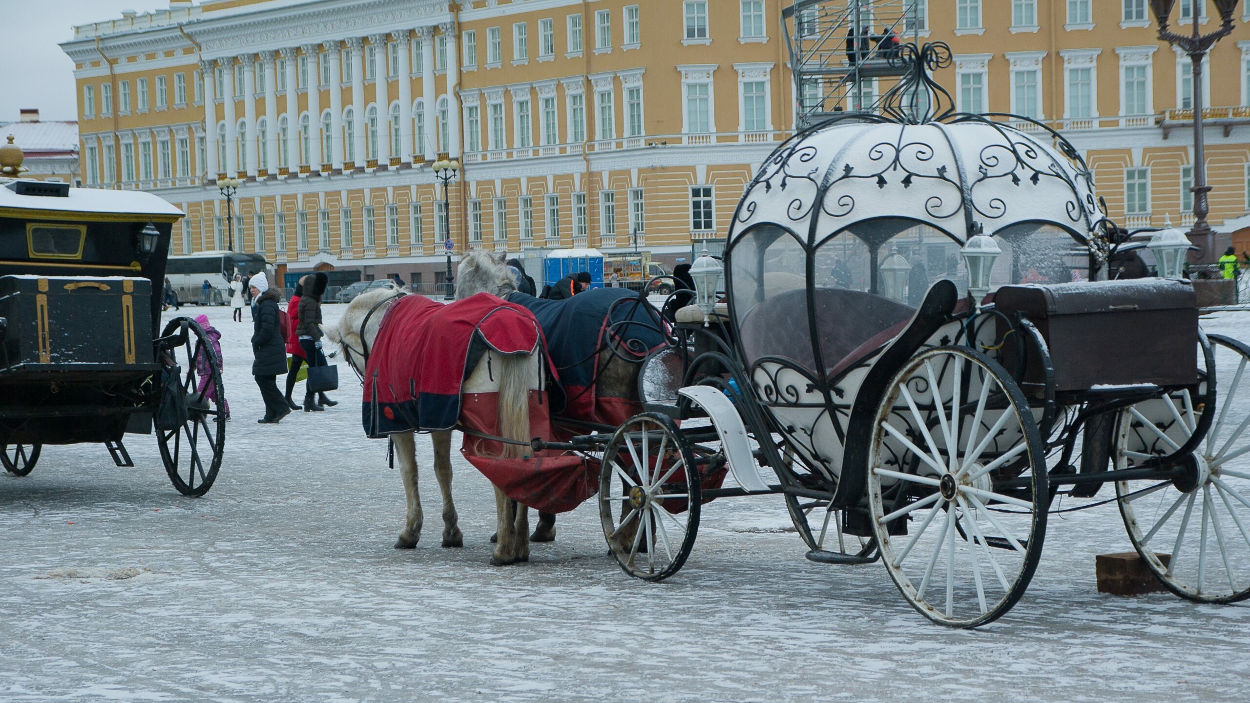 Россияне считают Петербург одним из лучших городов для зимовки
