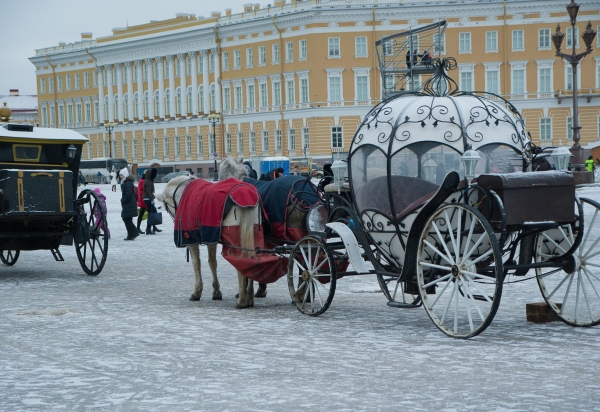 Россияне считают Петербург одним из лучших городов для зимовки