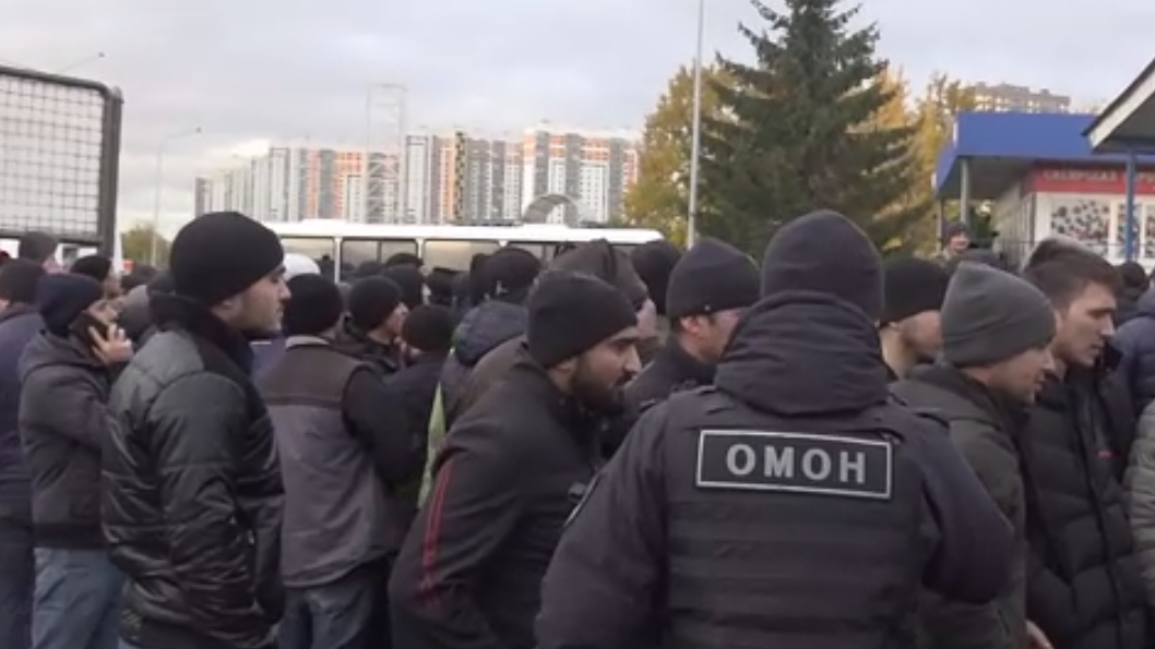 В Петербурге полицейские накрыли две овощебазы с мигрантами