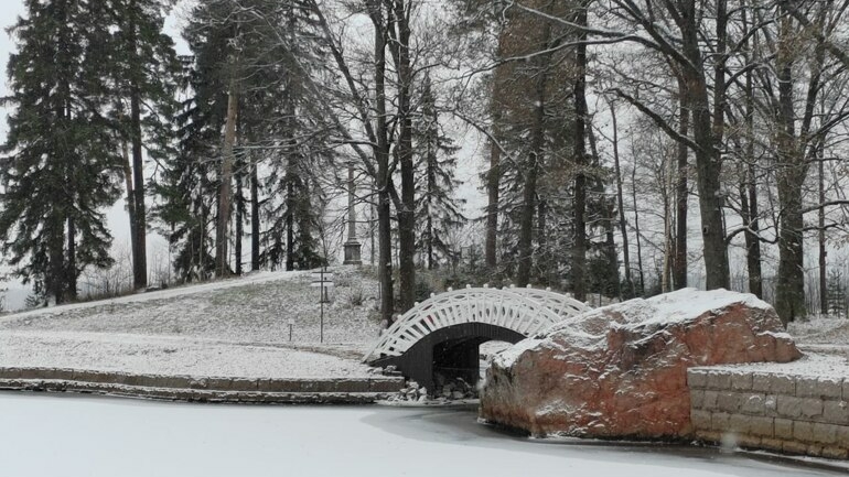 Сотрудники парка Монрепо поделились фотографиями зимнего пейзажа