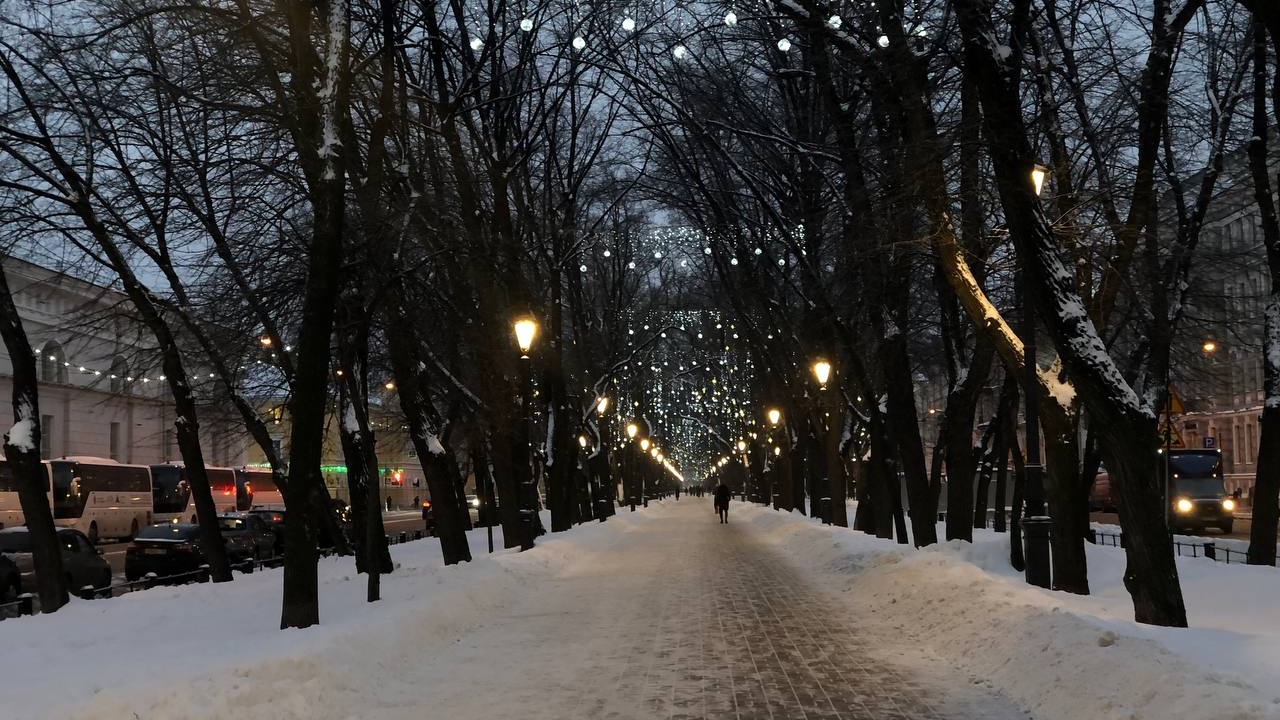В Петербурге объявили «желтый» уровень погодной опасности из-за сильного ветра
