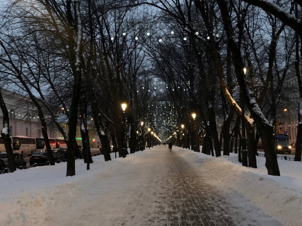 Петербуржцам рассказали о бесплатных местах в феврале