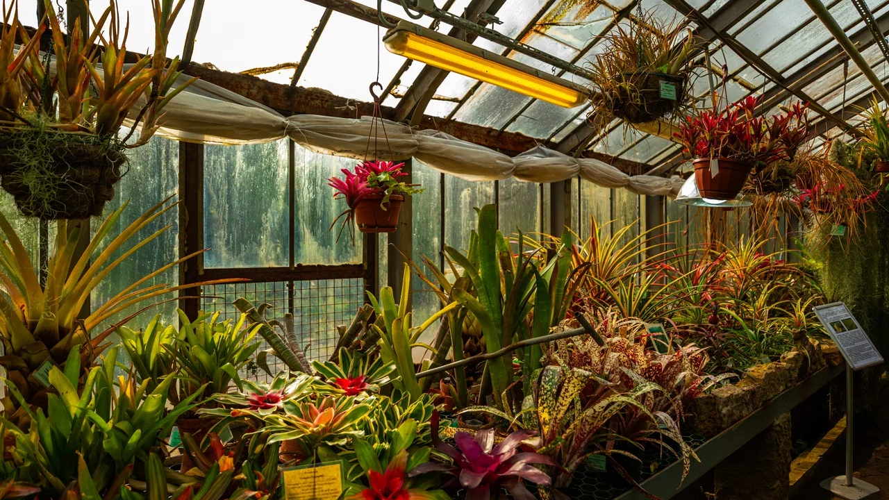 Жителям и гостям Петербурга назвали пять мест, где можно полюбоваться на цветы и растения