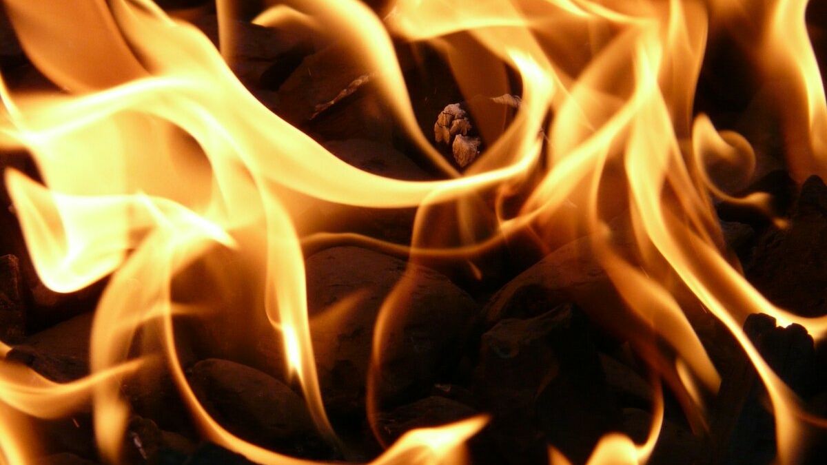 В Приморье пожар захватил 950 гектар