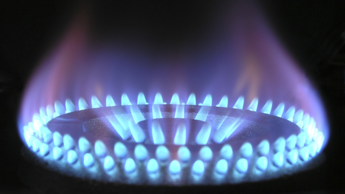 Австрийская нефтегазовая компания рассказала о невыплате «Газпром экспорту»