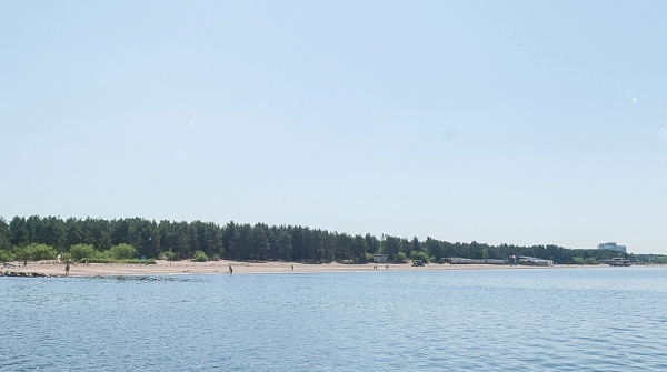 В Петербурге обновят три пляжа, сохранив природный ландшафт