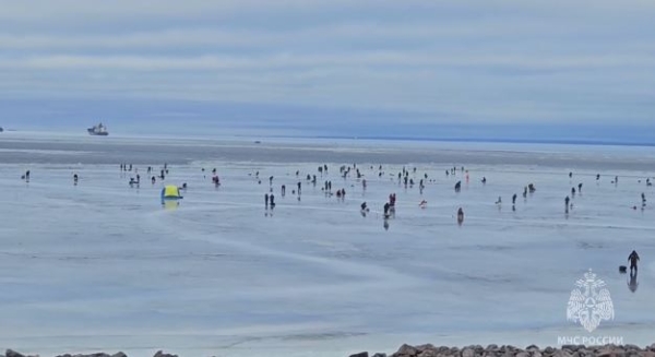 В Петербурге спасли 35 рыбаков, дрейфующих на льдине по заливу