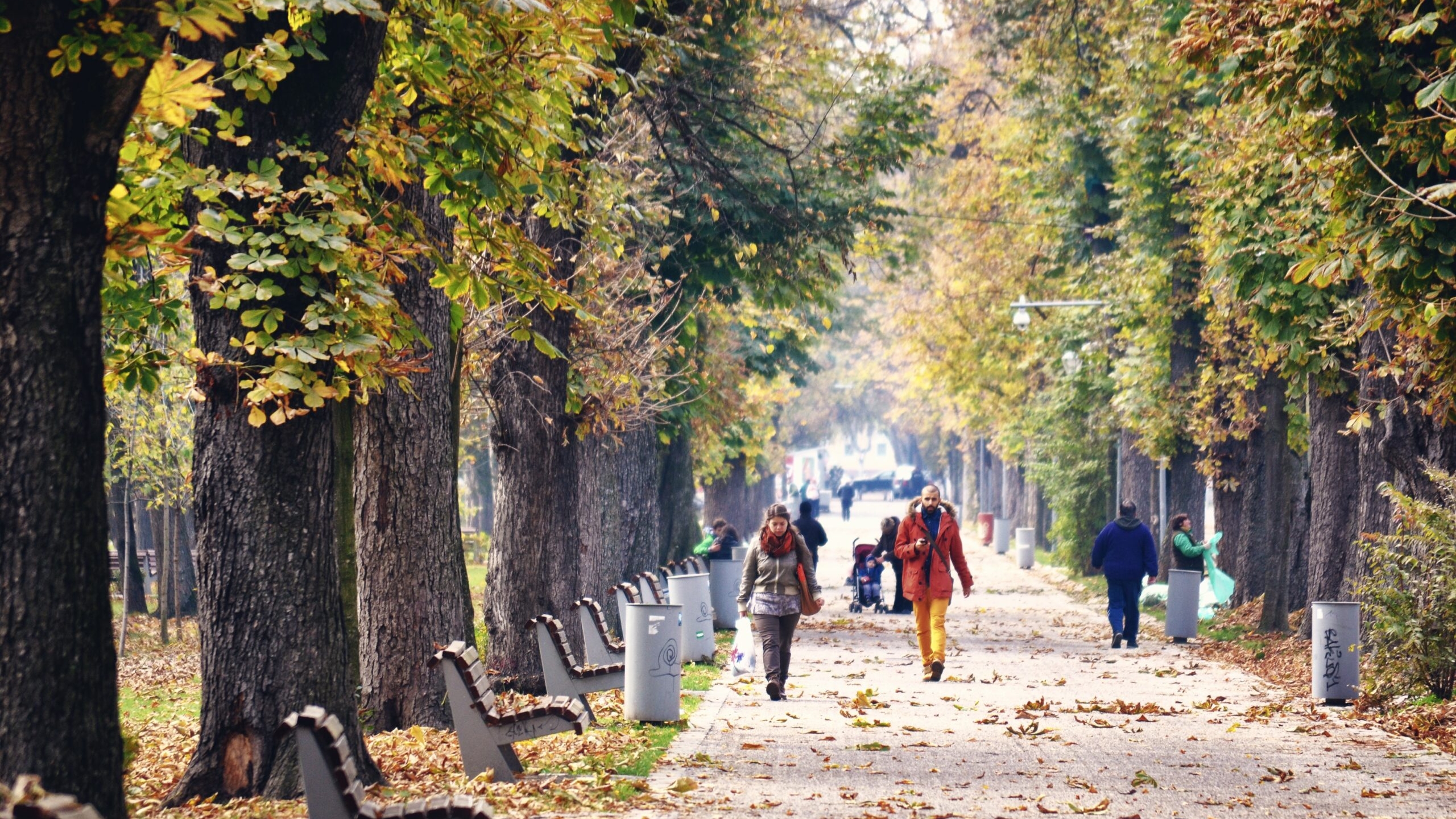 Пулковскому парку вернут его историческое название