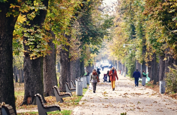 Петербуржцам рассказали, когда и где начнется просушка парков