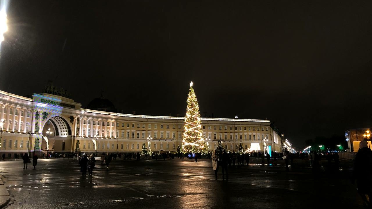 В Петербурге и Ленобласти заготовят 700 елей для украшения на Новый год