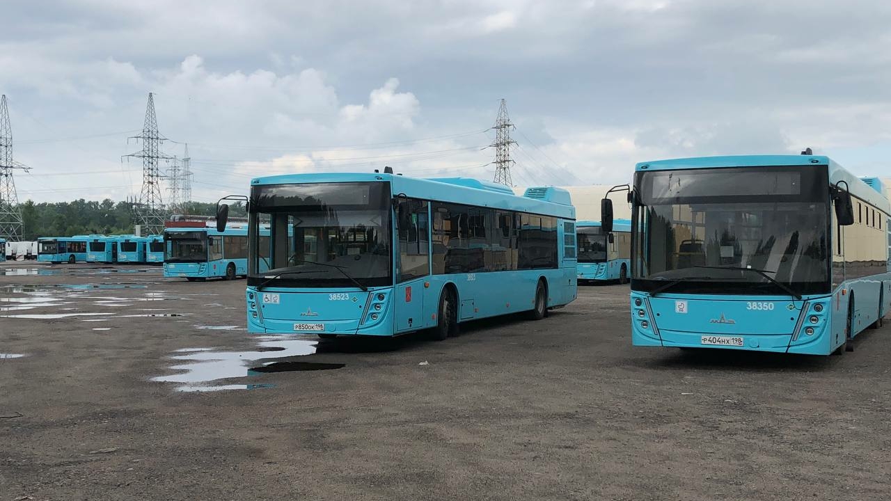 Петербуржцам рассказали, какую зарплату обещают водителям лазурных автобусов