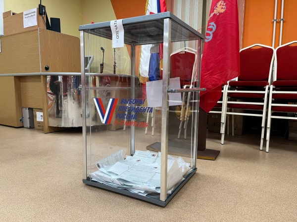 На выборах президента в Петербурге заметили много избирателей