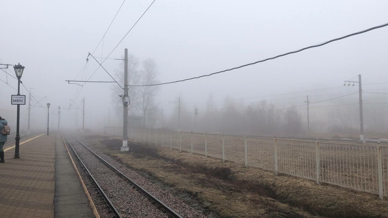 Туман в Ленобласти доставит неприятности автомобилистам