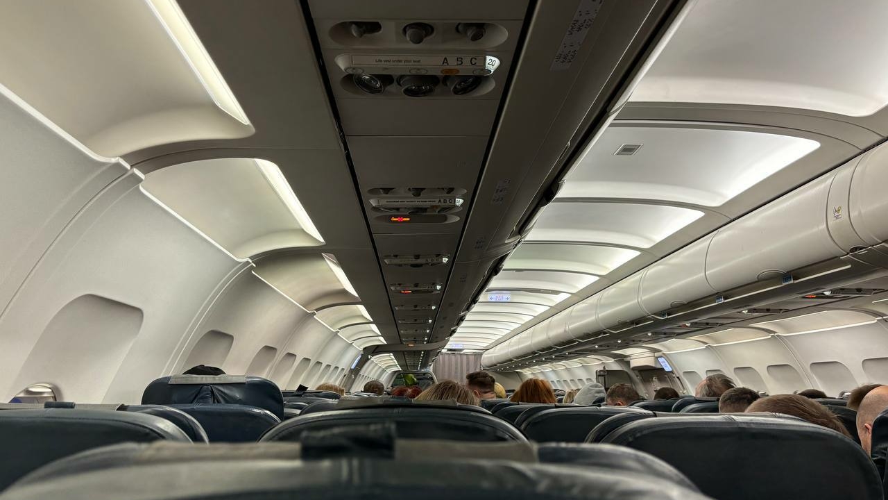 Юрист рассказал, что делать пассажирам с аллергией в самолете с животными