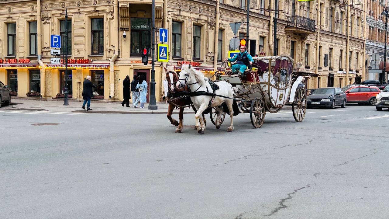 Депутат Цивилев предложил узаконить конные экипажи в Петербурге