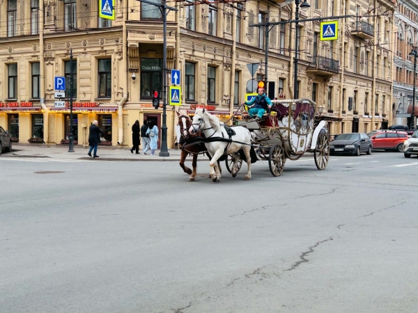 Депутат Цивилев предложил узаконить конные экипажи в Петербурге