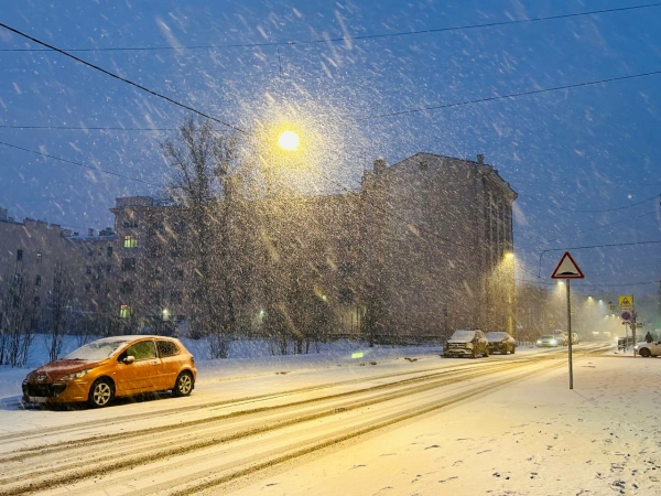 В Петербурге выпало до 9 мм снега